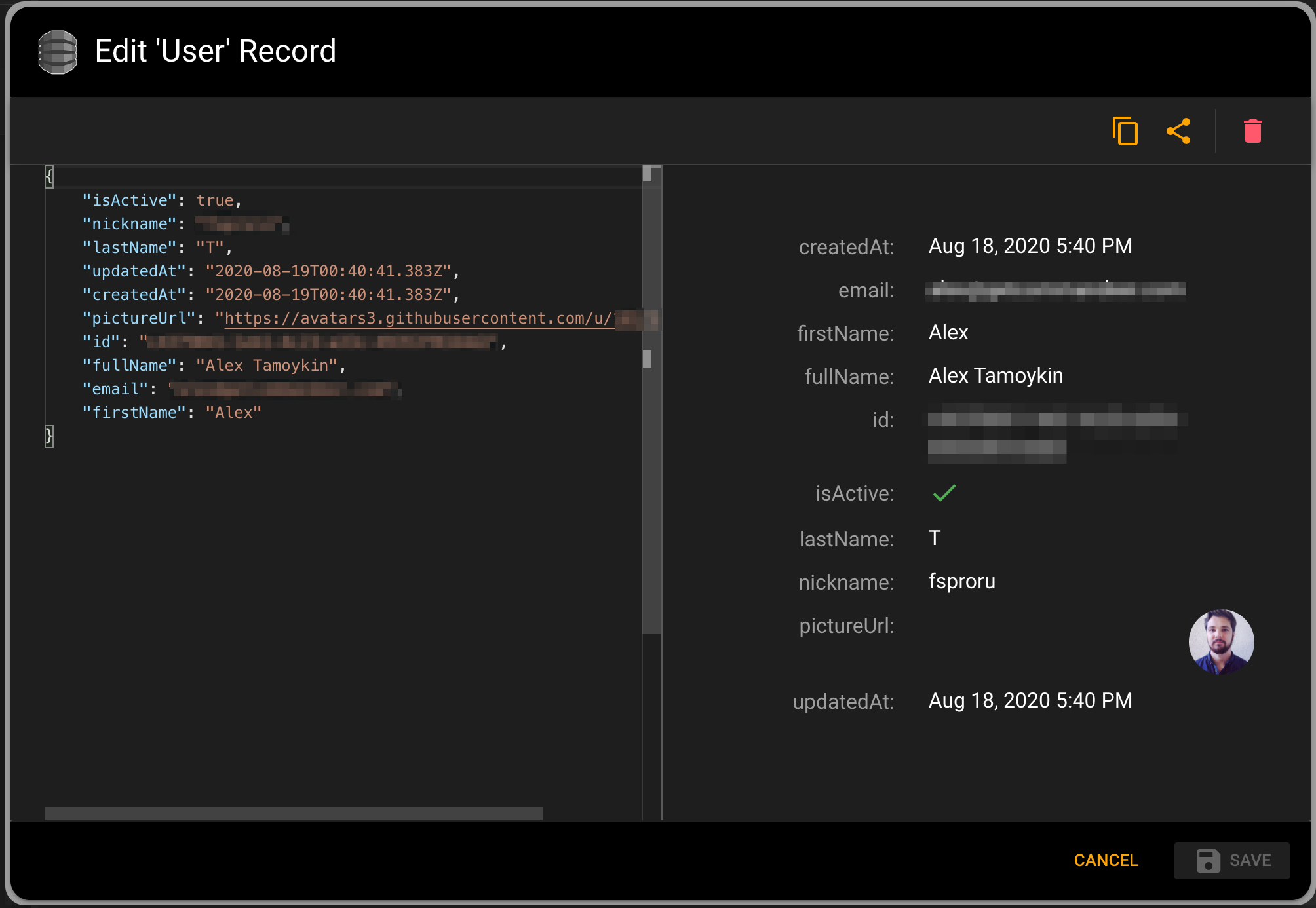 Dynamo record in detail